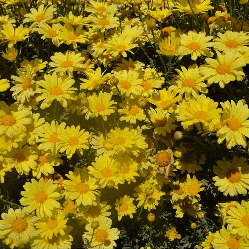 Meet your Posher, Bb